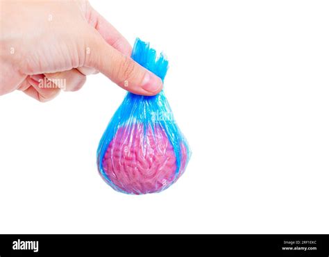 bag of brain replica|Mini.